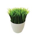 @Grassycup
