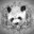 @rockpanda