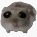 @XanderHayhoe