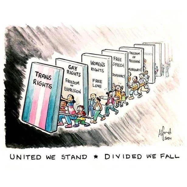 A cartoon image depicts a row of large dominoes labeled with various rights and freedoms. People are shown pushing the first few dominoes to keep them from falling into a dark, stormy area. The first domino is labeled "Trans Rights" and features the transgender pride flag. The next domino is "Gay Rights" and "Freedom of Expression". The following dominoes read "Women's Rights", "Free Love", "Free Speech", "Democracy", "Freedom of Religion", "Modernity", and "Literacy". The phrase "United We Stand * Divided We Fall" is written below the image. The artist's signature is in the bottom right corner.