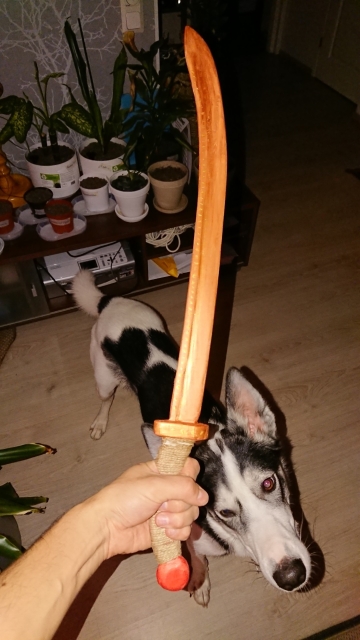 Wooden sword in hand and alaskan husky looking weird in the background