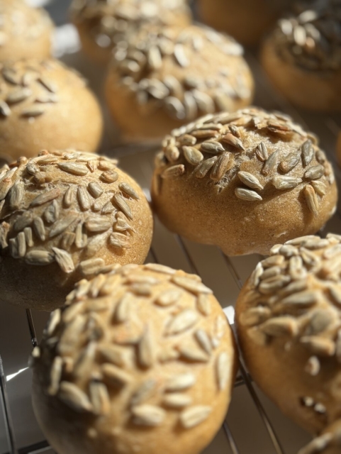 Bread rolls topped with sunflower seeds