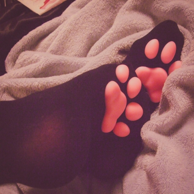 A pair of cute feet in black paw stockings. The paws are pink. The pair are on top of blue fleece creating an overall cozy and cute vibe