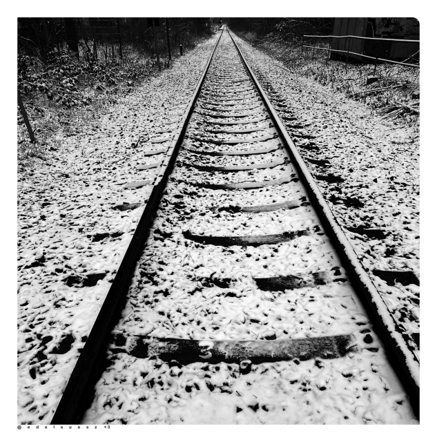 Schwarzweißfotografie: Eisenbahnschienen in einem Gleisbett, geradlinig bis zum Horizont, links Bäume und Büsche, rechts ein Geländer, alles überzogen mit einer feinen weißen Schneeschicht 