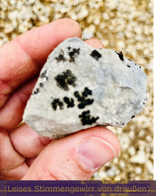 FRENCH Une main rugueuse tient un caillou couvert de lichens noirs aux formes comme des cunéiformes. En bas de l'image, la capture d'un commentaire pour personnes malentendantes en allemand.
ENGLISH A rough hand holds a pebble covered with black lichens shaped like cuneiforms. At the bottom of the image, a German-language commentary for the hearing-impaired.