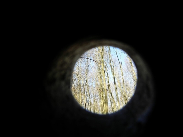 Des arbres vus à travers un trou dans une planche en bois.
Trees seen through a hole in a wood piece.