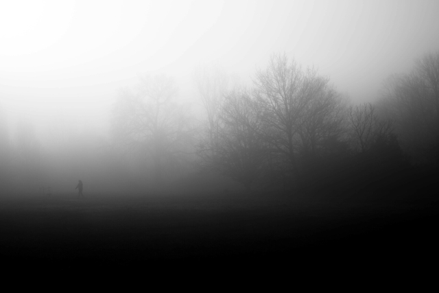 Monochrome photo, white in the top left, black along the bottom. Tall leafless trees fade from blank nothingness into grey and then out to deep shadow. On the far left, a single dark figure is walking towards the edge of frame.