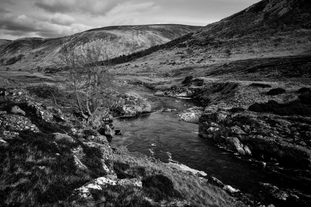 Black and white landscape photograph showing the River Findhorn winding its way through the glen at Strathdearn in the Scottish Highlands, with a small tree sitting high on the riverbank left of centre and the Monadhliath range of hills in background.