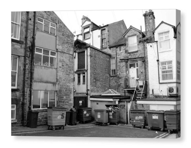 Black and white photograph showing the back of old townhouses, and a whole roll of refuse containers, wheeled ones.  They may not actually be branded dumpsters.  They are big plastic boxes on wheels that you can dump your rejects in.