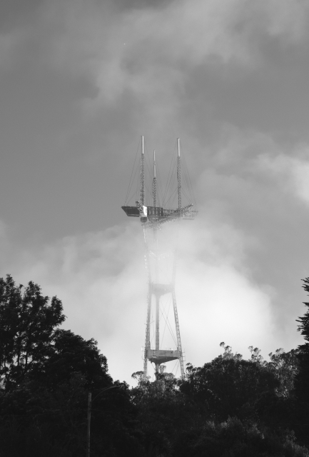 Monochrome image. Looking up at moderately close Sutro Tower with tall cypress and eucalyptus in the foreground. Fog is passing through, partially obscuring the body of the tower. SF Feb 2025