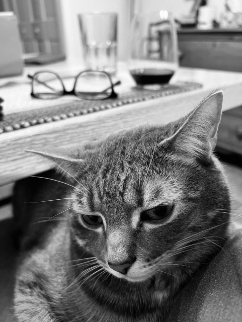 A close-up of a gray tabby cat resting with a thoughtful expression, with a pair of eyeglasses, a glass of water, and a glass of red wine on a table behind him. The image is in black and white.