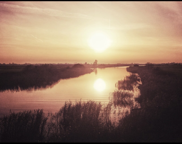 Omgeving met riet en water waar je wil zijn...