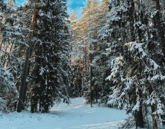 Spring or winter? Snow and frost return to Latvia with temperatures dropping to -10°C