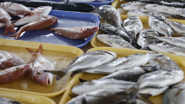 EU Sampling Project Raises Concern About Microplastics in Mediterranean Seafood