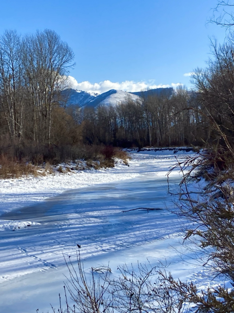 A frozen, partially snow-covered river channel curls around an island it created. The brush is brown, the trees bare. Rising behind the forest are mountains, their left hand slopes wooded, those on the right snow-covered grass. There are clouds over the mountains, but otherwise the sky is a rich blue. It’s a pause in time, yet timeless, winter painting a beautiful image even when the world pauses to catch its breath. It’s stark, powerful, and soothing in its natural state of peace. 