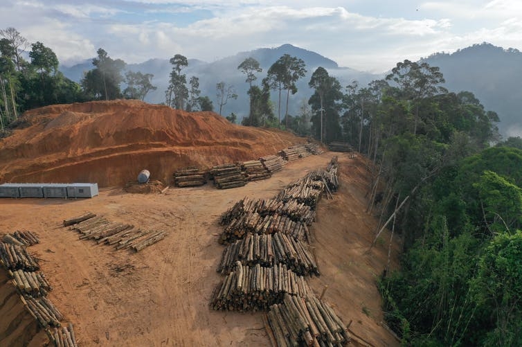 Deforestation in Borneo, Shutterstock